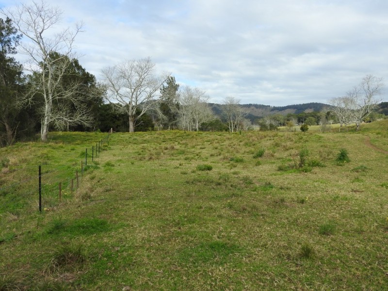 Lot 1 Pipeclay Road, Pipeclay NSW 2446