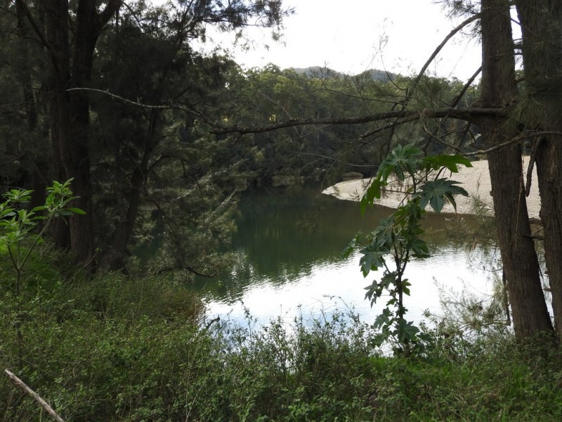 Lot 1 Pipeclay Road, Pipeclay NSW 2446