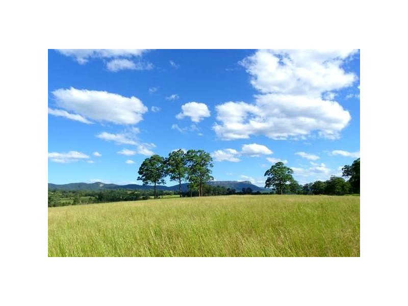 475 Rosewood Road, Rosewood NSW 2446