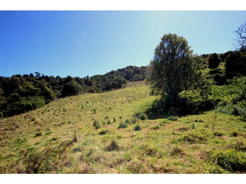 8 Pfeiffers Road, Comboyne NSW 2429