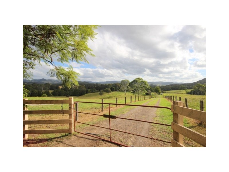 58 Jones Road, Byabarra NSW 2446