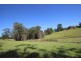 115 West Frazers Creek Road, Beechwood NSW 2446