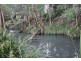 1176 Bellangry Road, Bellangry NSW 2446