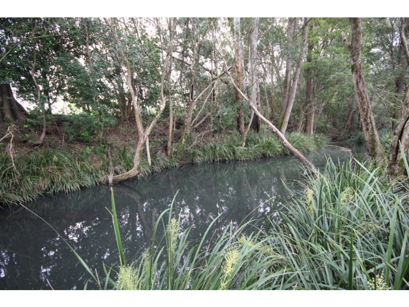 1176 Bellangry Road, Bellangry NSW 2446