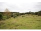 1176 Bellangry Road, Bellangry NSW 2446