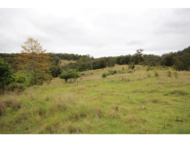 1176 Bellangry Road, Bellangry NSW 2446