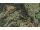 1176 Bellangry Road, Bellangry NSW 2446