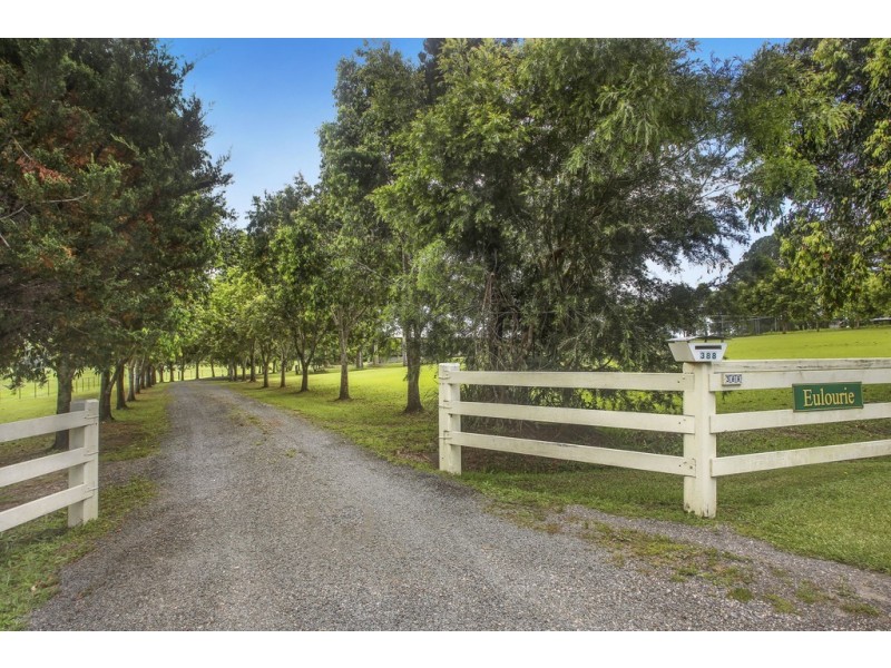 388 King Creek Road, King Creek NSW 2446