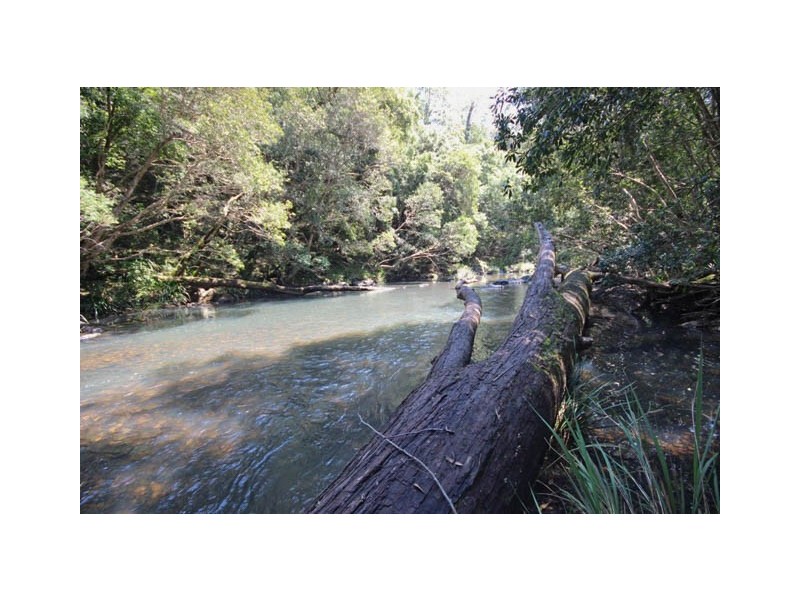 1768 Pappinbarra Road, Hollisdale NSW 2446