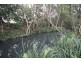 1176 Bellangry Road, Bellangry NSW 2446