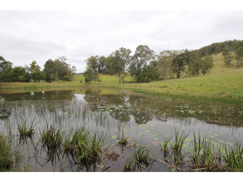 1176 Bellangry Road, Bellangry NSW 2446