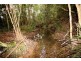 117 Sharkeys Road, Bellangry NSW 2446