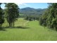 117 Sharkeys Road, Bellangry NSW 2446
