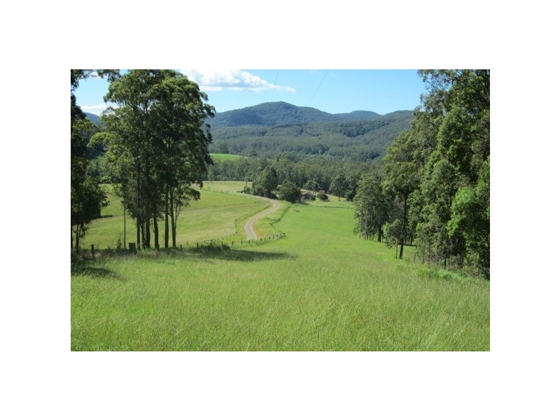 117 Sharkeys Road, Bellangry NSW 2446