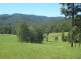 117 Sharkeys Road, Bellangry NSW 2446