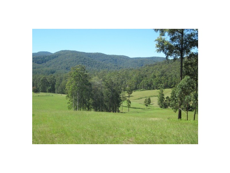 117 Sharkeys Road, Bellangry NSW 2446