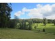 117 Sharkeys Road, Bellangry NSW 2446