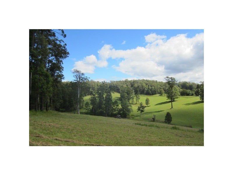 117 Sharkeys Road, Bellangry NSW 2446