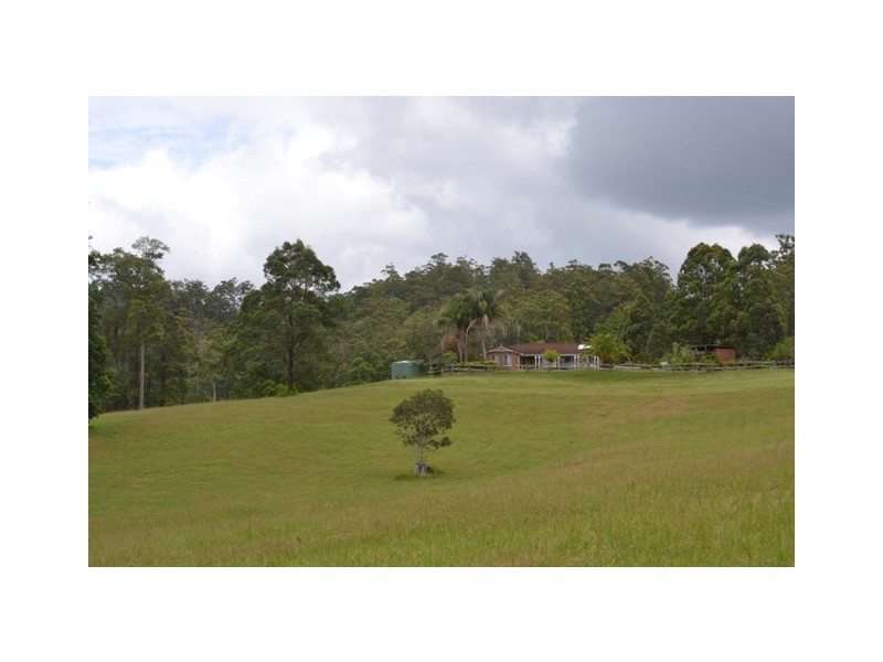 117 Sharkeys Road, Bellangry NSW 2446
