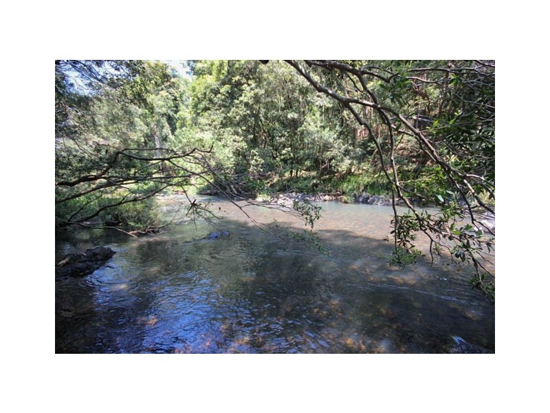 1768 Pappinbarra Road, Hollisdale NSW 2446