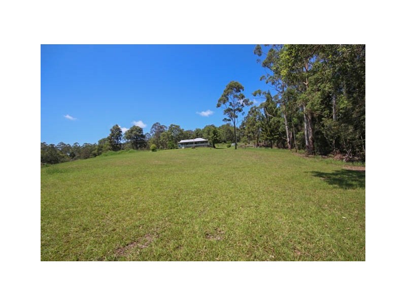 1768 Pappinbarra Road, Hollisdale NSW 2446