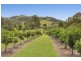 3470 Oxley Highway, Hartys Plains NSW 2446
