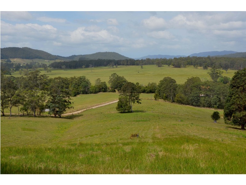 1332 Pipeclay Road, Pipeclay NSW 2446