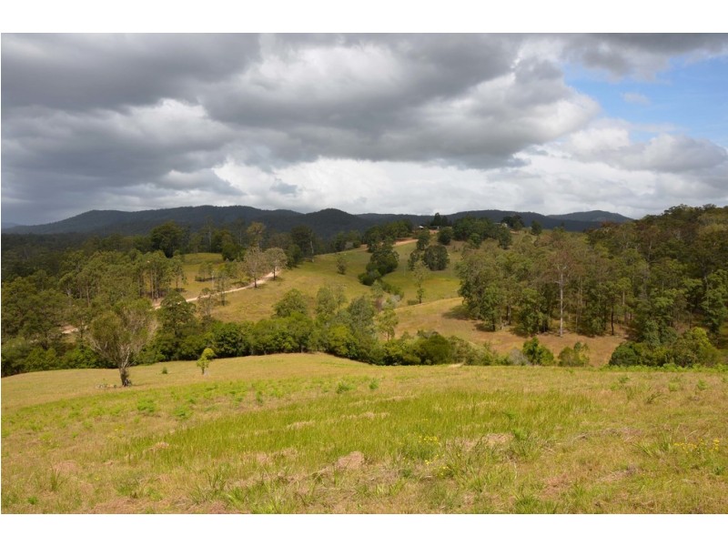 1332 Pipeclay Road, Pipeclay NSW 2446