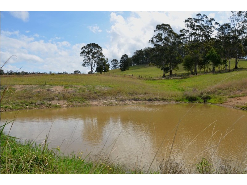 1332 Pipeclay Road, Pipeclay NSW 2446