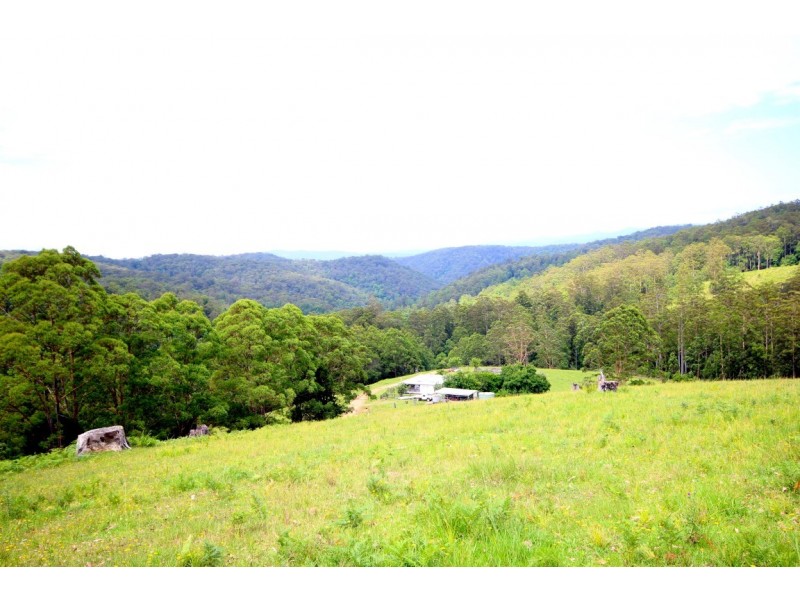 Birdwood NSW 2446
