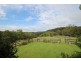 Birdwood NSW 2446