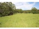 Birdwood NSW 2446