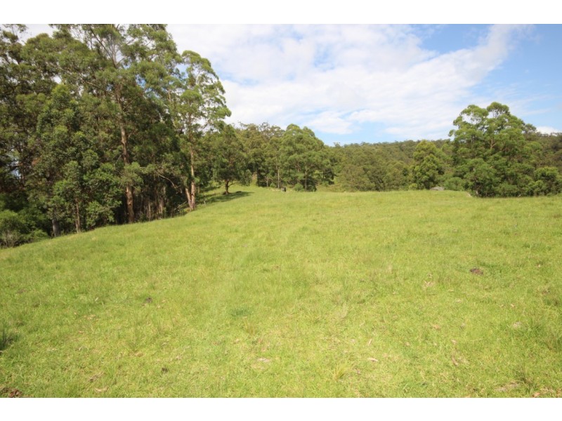 Birdwood NSW 2446