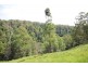 Birdwood NSW 2446
