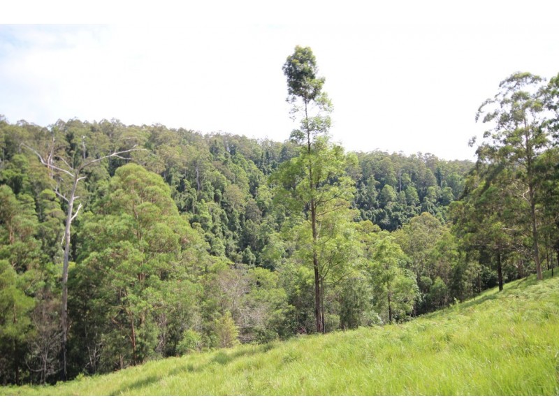 Birdwood NSW 2446