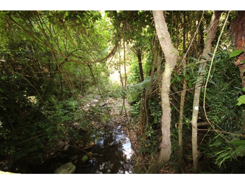 Birdwood NSW 2446