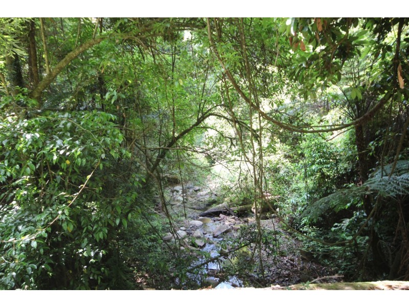 Birdwood NSW 2446