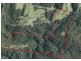 Birdwood NSW 2446