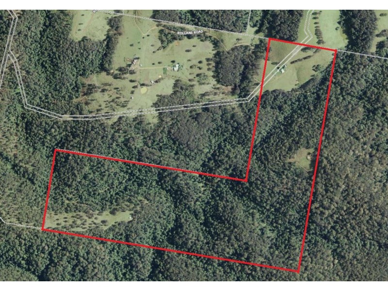 Birdwood NSW 2446