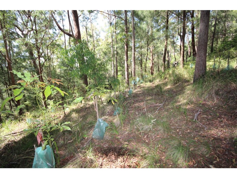 670 Ponsford Road, Comboyne NSW 2429