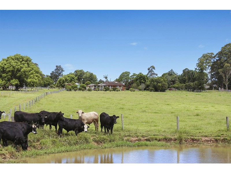 219 Huntingdon Road, Huntingdon NSW 2446