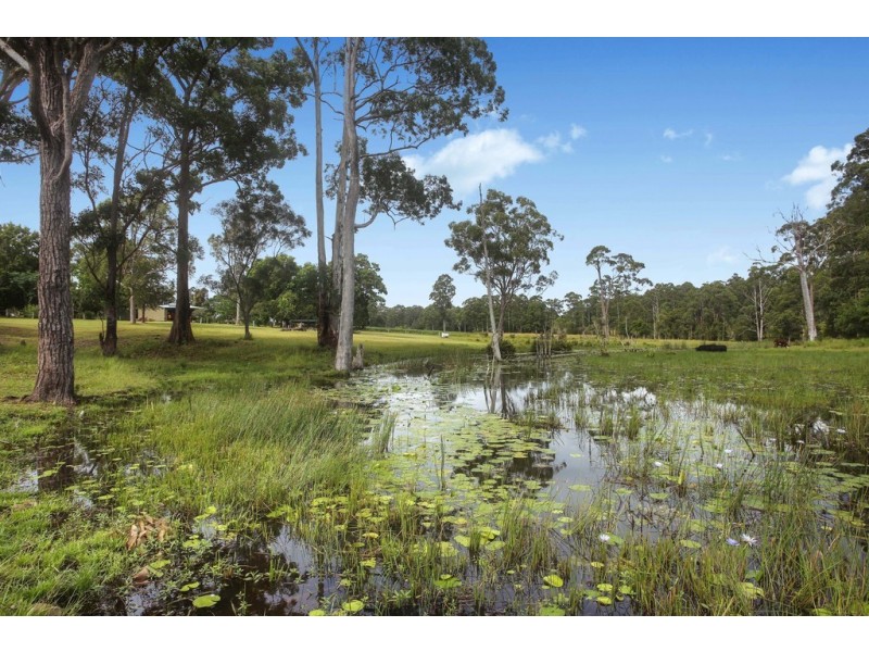 605 Stoney Creek Road, Redbank NSW 2446