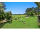 386 Gum Scrub Road, Telegraph Point NSW 2441
