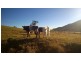 Wauchope NSW 2446