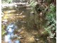 Wauchope NSW 2446