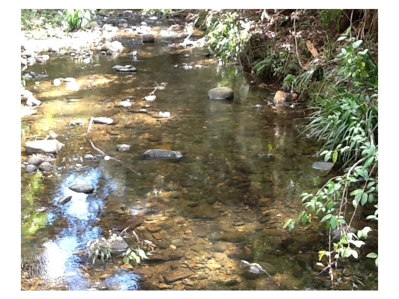 Wauchope NSW 2446