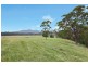 771 Pappinbarra Road, Pappinbarra NSW 2446
