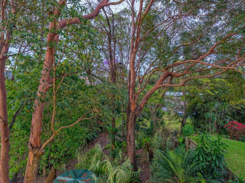 11 View Parade, Ashgrove QLD 4060