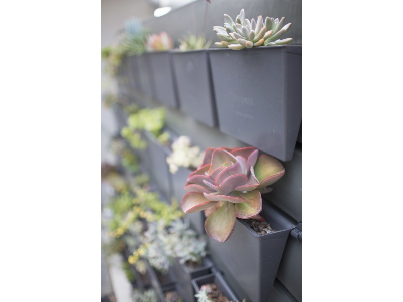 11 Harding Street, Enoggera QLD 4051