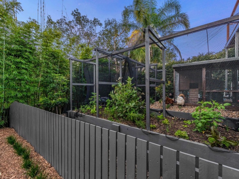 11 Dovedale Crescent, Ashgrove QLD 4060